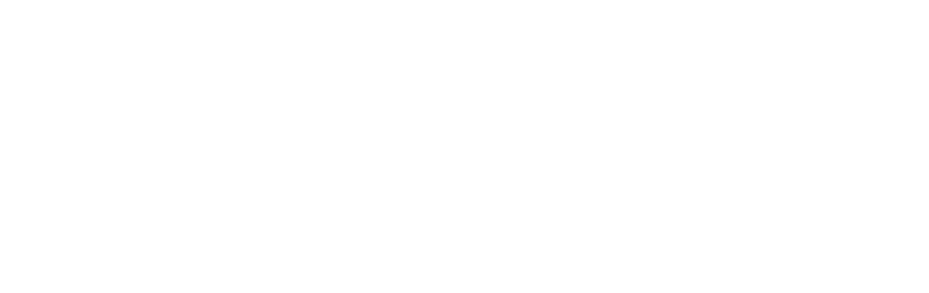 Bmluk logo weiss