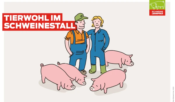 Infokarten Schweinelehrpfad