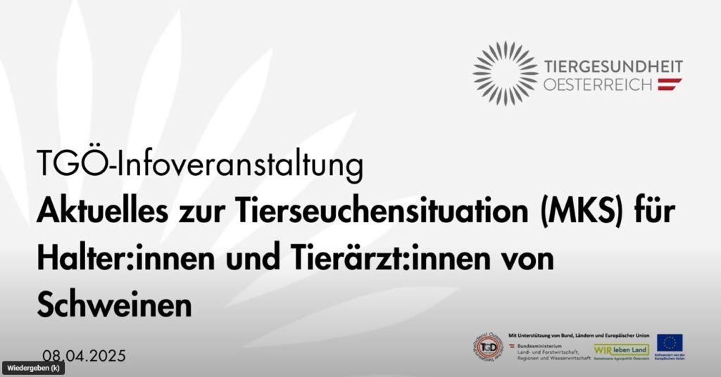 Webinar