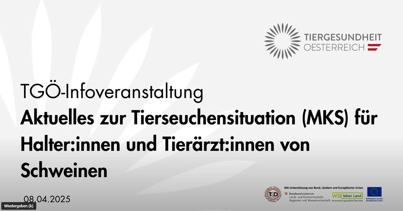 Webinar Webinar