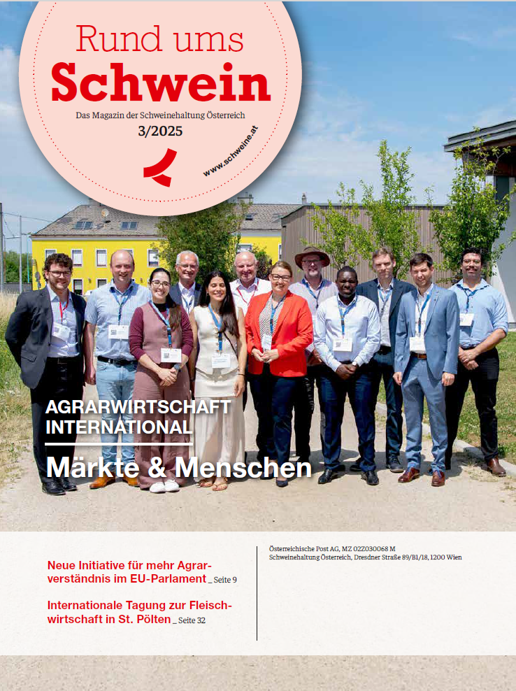 Titelbild3
