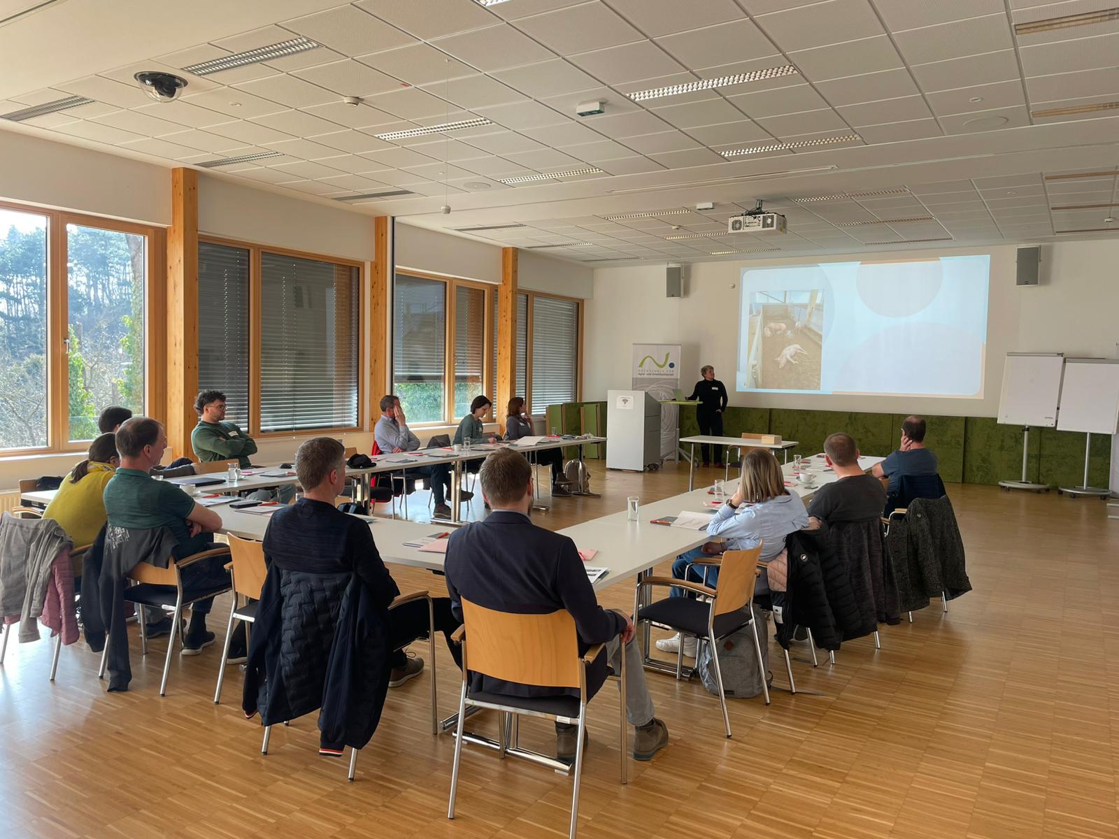 Whatsapp image 2026 03 11 at 10.29.01