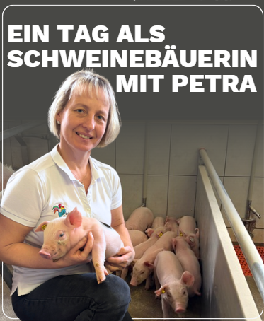 Stalleinblick (petra wimmer) (c)ntÖ